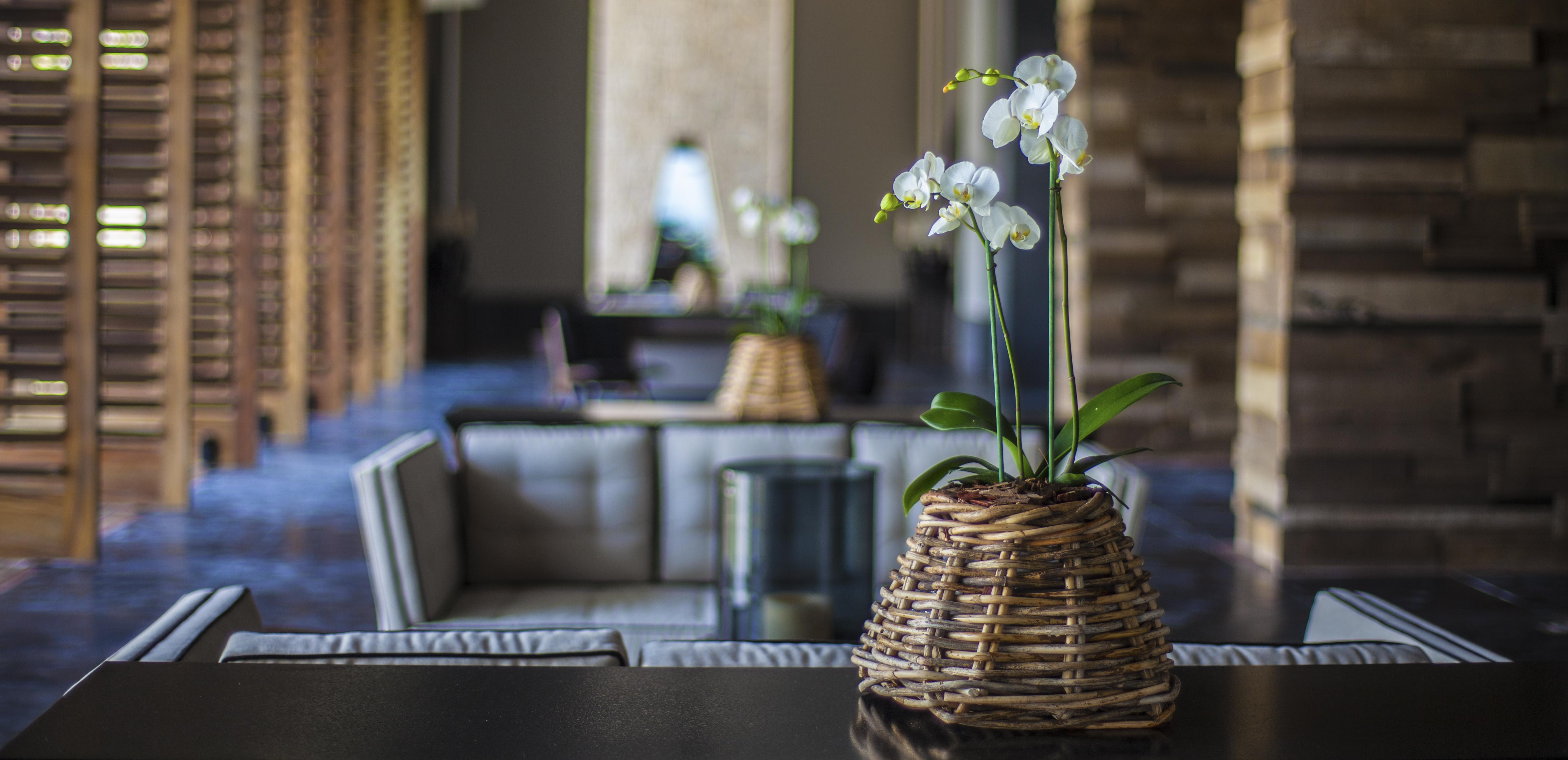 Nizuc Resort&spa